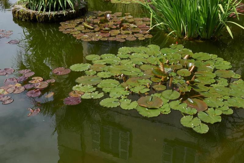 Assainissement &eacute;cologique : guide pour une installation r&eacute;ussie